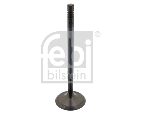 Intake Valve